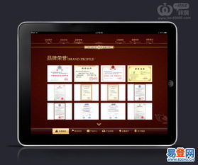 精湛的技術(shù)，優(yōu)秀的服務(wù) 深圳軟件開發(fā)公司的卓越之道